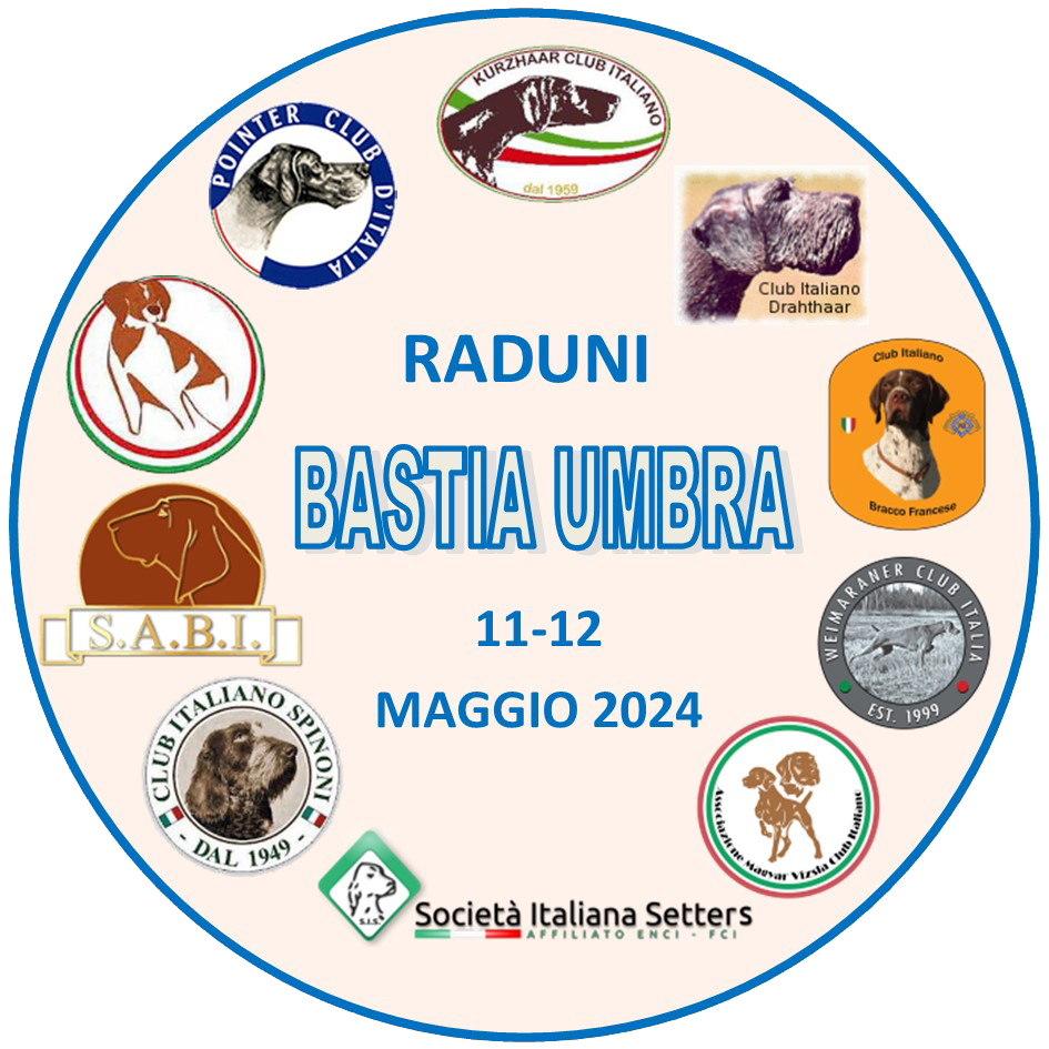 RADUNO NAZIONALE SPINONE ITALIANO 11 MAGGIO 2024 CACCIA VILLAGE BASTIA UMBRA (PG)