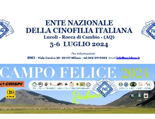 CAMPO FELICE (AQ)  6 LUGLIO 2024 RADUNO DI RAZZA SPINONE ITALIANO