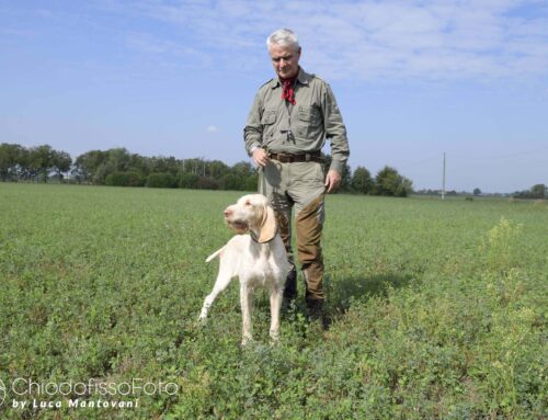 FLORES DI POZZO BARONZIO CON ATTILIO BOTTONI SI AGGIUDICA LA SPECIALE DI CASTEL FRANCO EMILIA (MO)