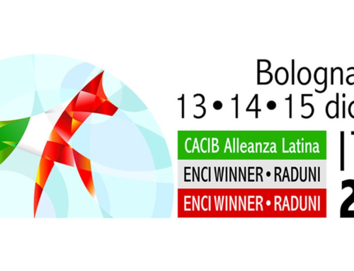 ENCI WINNER BOLOGNA 13 – 14 – 15 – DICEMBRE 2024