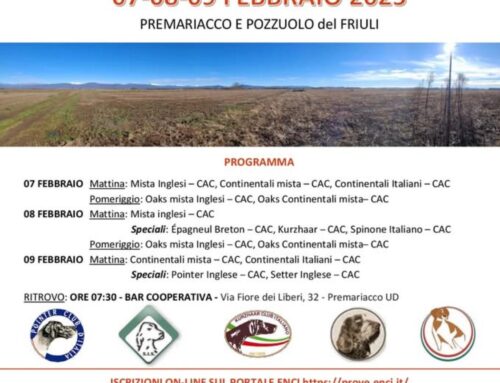 8 FEBBRAIO 2025 PREMARIACCO – POZZUOLO DEL FRIULI (UD) PROVA DI CACCIA SU STARNE SPECIALE SPINONI – CAC