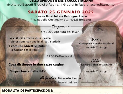 BOLOGNA 25 GENNAIO 2025 – SEMINARIO DI AGGIORNAMENTO SUI CRITERI DI VALUTAZIONE MORFO- FUNZIONALI DELLO SPINONE E DEL BRACCO ITALIANO