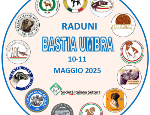 BASTIA UMBRA (PG) CACCIA VILLAGE 2025 – RADUNO DI RAZZA