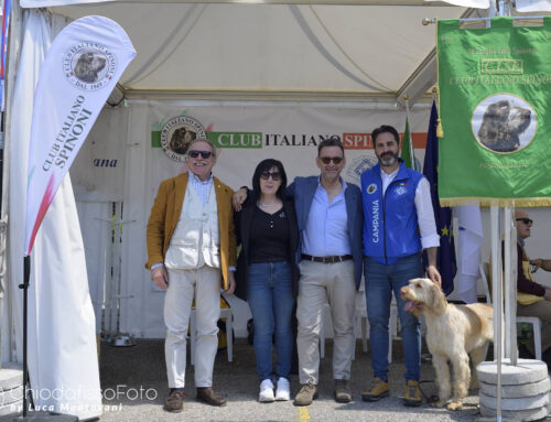 RADUNO SPINONI BASTIA UMBRA (PG) – CACCIA VILLAGE 11 MAGGIO 2025