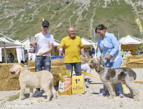 RADUNO SPINONI CAMPO FELICE (AQ) VILLAGGIO ENCI 5 LUGLIO 2025