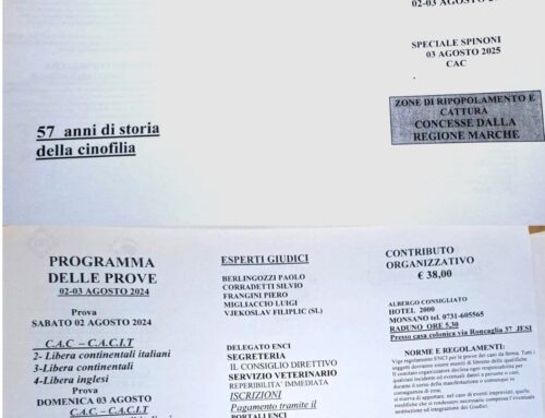 DOMENICA 3 AGOSTO JESI (AN) – SPECIALE SPINONI CAC