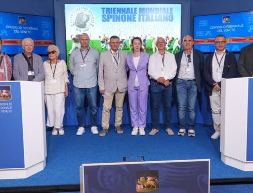 VENEZIA 11 SETTEMBRE 2025: A PALAZZO FERRO FINI PRESENTATA L’OTTAVA EDIZIONE DEL TRIENNALE MONDIALE DELLO SPINONE ITALIANO