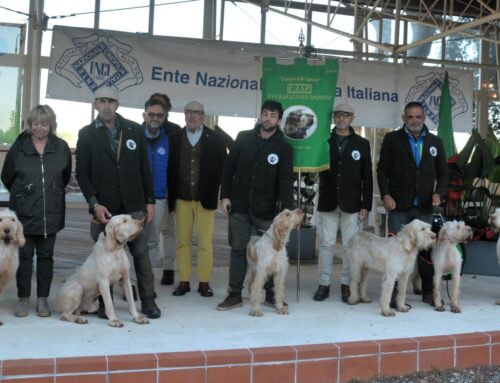 XXV COPPA ITALIA: SPINONI SUL PODIO. TROFEO “VENICIO TOGNOLO” A OLIMPIO DI MARCO QUARGNOLO