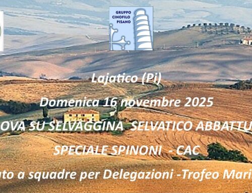 CAMPIONATO A SQUADRE PER DELEGAZIONI – TROFEI MARINO PANIZZA MASCHI E FEMMINE