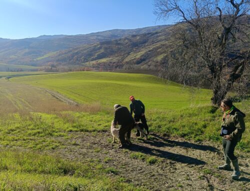 CAMPIONATO SOCIALE SANT’UBERTO 2025