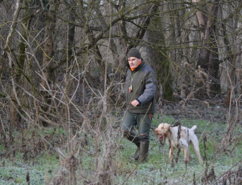A GIGLIO DI VILLA DELLA FELICITA’ LA PRIMA SPECIALE 2026