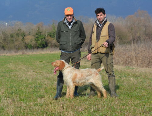 SPECIALE SPINONI BUDOIA (PN) 21 FEBBRAIO 2026