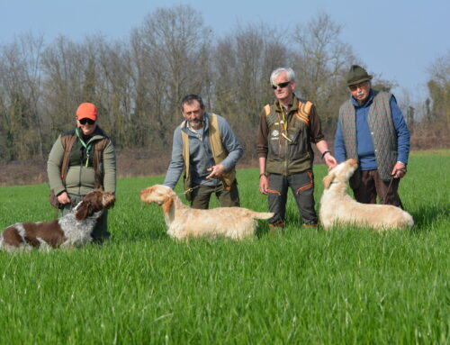 GLI SPINONI A BRIONA (NO): SPECIALE, GIOVANI E PAV