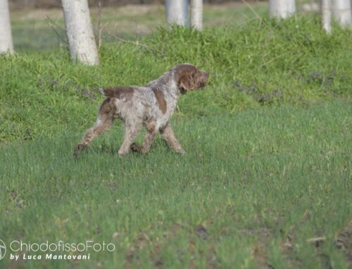 SPACIALE SPINONI – GIOVANI CONTINENTALI IT. – PAV BRIONA (NO) 8 MARZO 2026