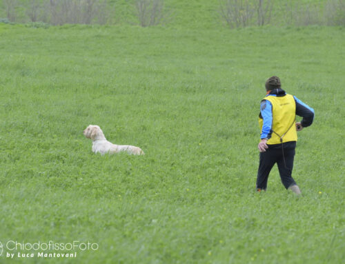 ATHENA BRILLA A CASTIGLIONE DEL LAGO: I RISULTATI DELLA SPECIALE SPINONI