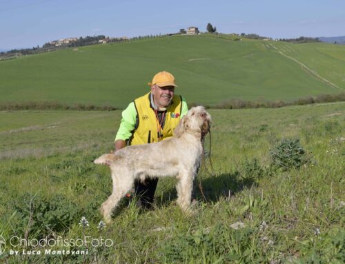 CAC-CACIT PER AMOR DI CAPPELLA REALE NELLA DUE GIORNI DI LAJATICO