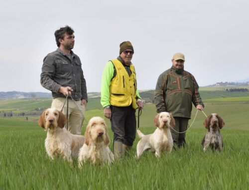 LAJATICO 28-29 MARZO 2026: PREMIAZIONI