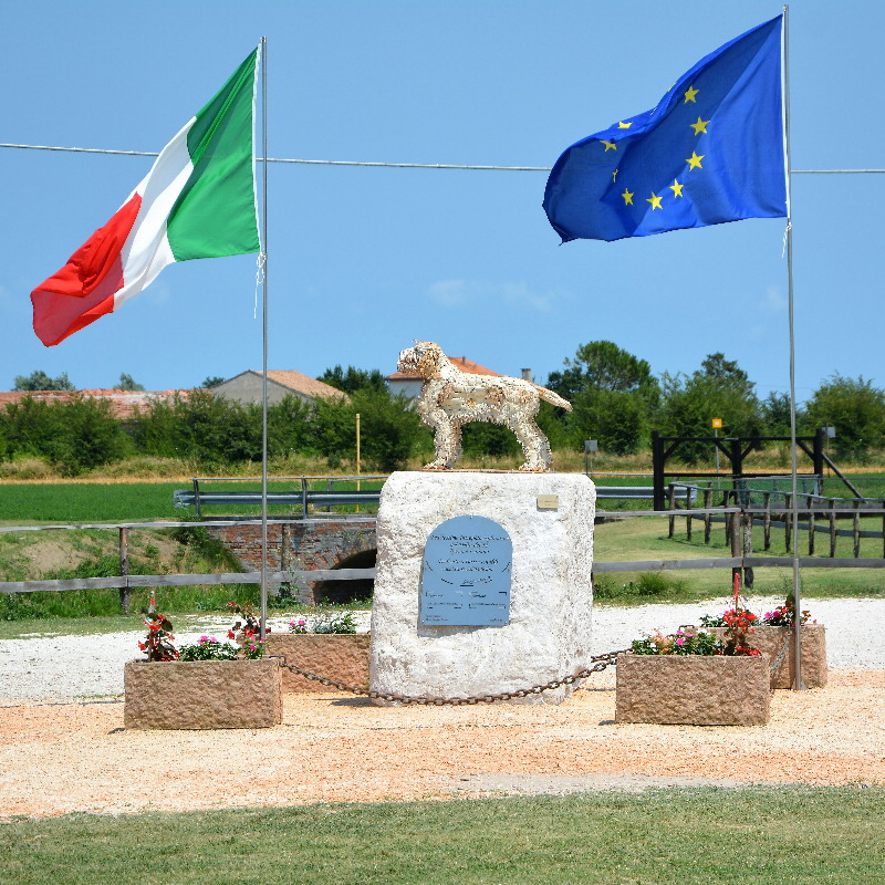 MON1