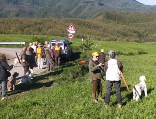 PROVA TIPO SANT’UBERTO PER SPINONI A BRUSCOLI (FI)