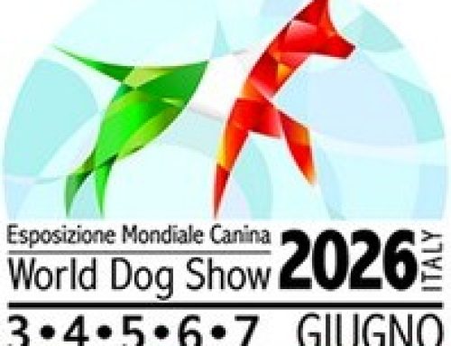 Gli Spinoni Italiani al World Dog Show di Bologna: i risultati dell’evento