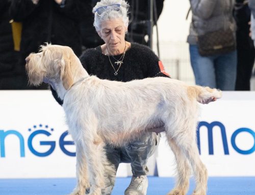 RADUNO CISP CAMPO FELICE: BOB PER ZARA DI RIMNIS