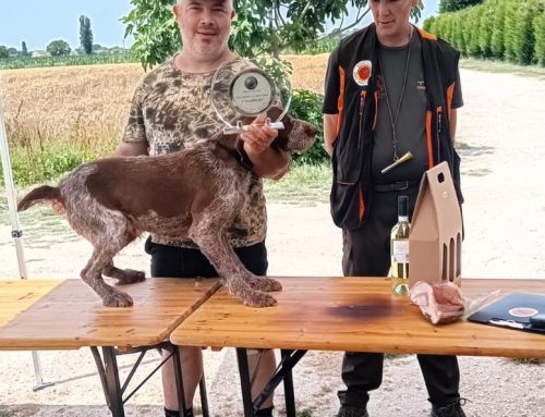 SUCCESSO A SANT’ELENA (PD) PER IL TROFEO SANT’UBERTO DELEGAZIONE VENETO