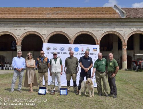 VIII TRIENNALE MONDIALE DELLO SPINONE ITALIANO: UN QUARTO DI SECOLO CELEBRATO A FRATTA POLESINE