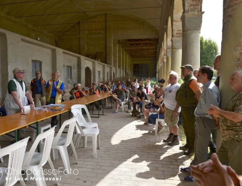 TRIENNALE MONDIALE SPINONE ITALIANO – RELAZIONI