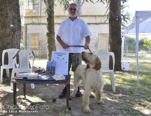 TRIENNALE MONDIALE SPINONE ITALIANO – RADUNO DI RAZZA PARTE UNO