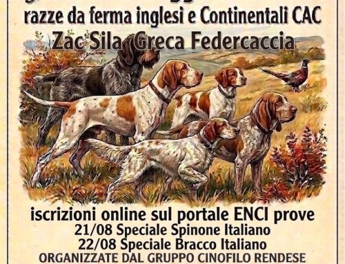 LE PROSSIME PROVE SPECIALI SPINONI SU SELVAGGINA: ZAC SILA GRECA (ACRI-CS), SAN MINIATO (PI), NONANTOLA (MO)