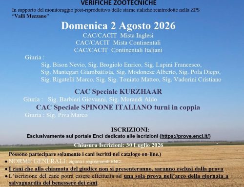 SPECIALE IN COPPIA AL MEZZANO