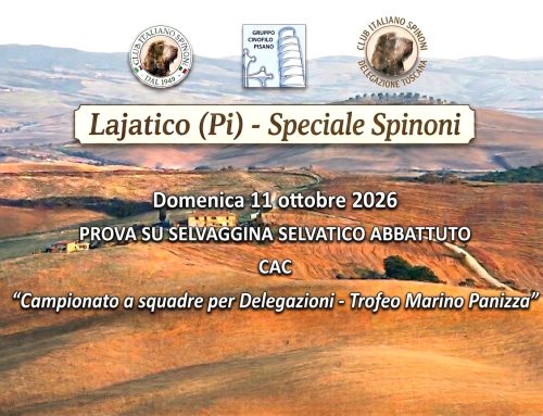 LAJATICO (PI) 11 OTTOBRE 2026 – PROVA SU SELVAGGINA  SELVATICO ABBATTUTO  SPECIALE SPINONI  CAC – CAMPIONATO A SQUADRE PER DELEGAZIONI “ TROFEO MARINO PANIZZA”