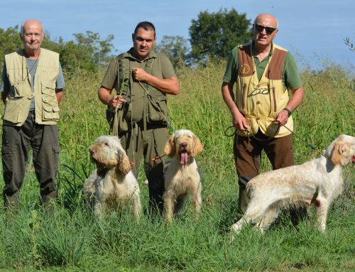 SPECIALE NONANTOLA ” TROFEO MUTINA” SECONDA BATTERIA 12/09/2026