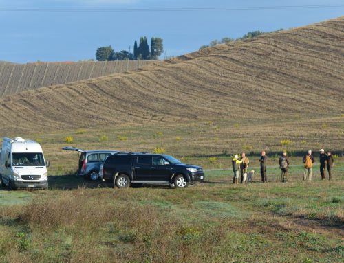 LAJATICO 11 OTTOBRE 2026: CAMPIONATO A SQUADRE PE DELEGAZIONI- TROFEI MARINO PANIZZA