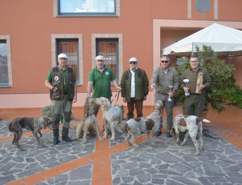 LAJATICO (PI), 11 OTTOBRE 2026 – Prova su selvaggina con selvatico abbattuto (Speciale Spinoni CAC) – Campionato a squadre per Delegazioni “Trofeo Marino Panizza”